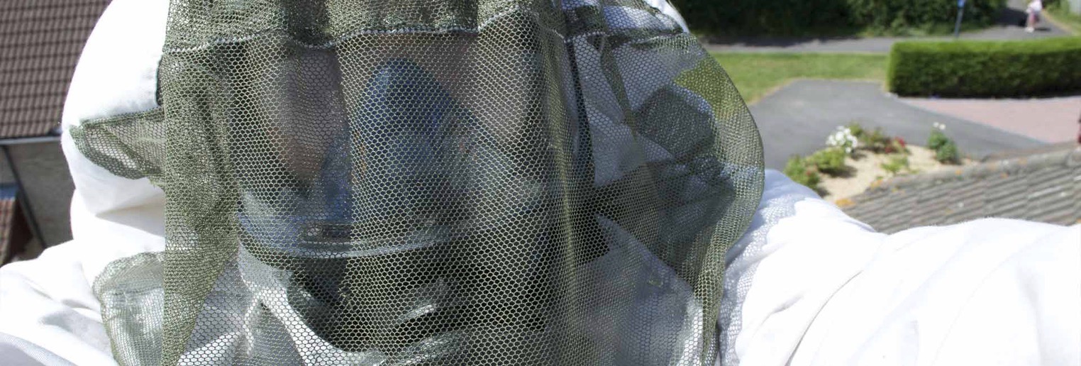 Bee keeper rescuing bees