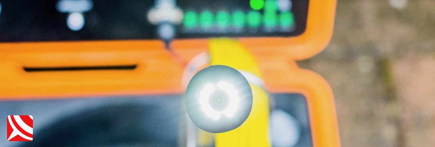 best rat control bristol