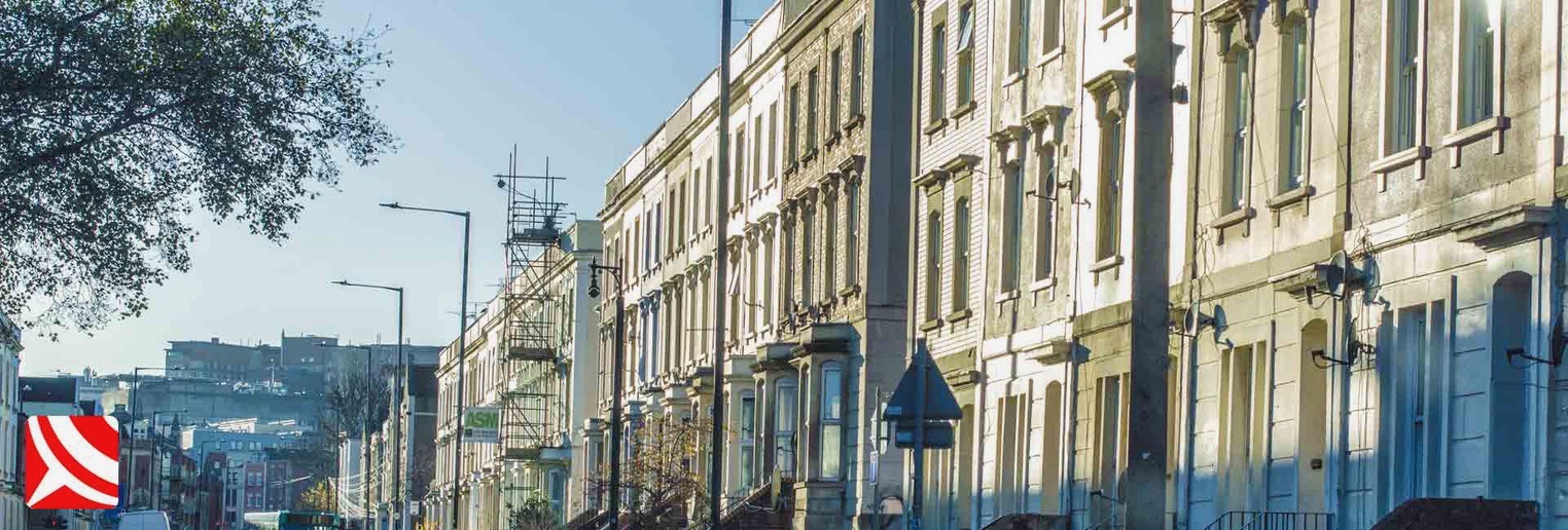 rats from neighbours